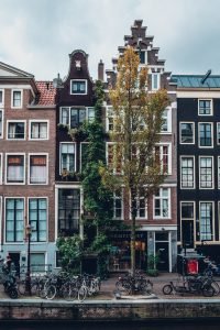 Amsterdam Canal Houses