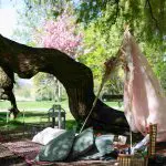 amsterdam picknick onder een boom