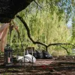 amsterdam picknicken in het vondelpark boho stijl