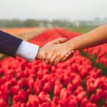 couple holding hands in tulip field