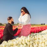 man proposing tulip gardens amsterdam