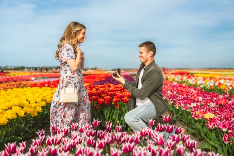 marriage proposal tulip gardens holland