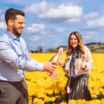 proposal amsterdam tulip gardens yellow